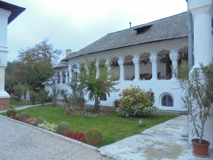 DSC03319.JPG
